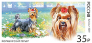 Посвященные декоративным породам собак почтовые марки выпущены в России